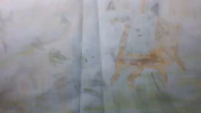 Мои рисунки волков и котов воителей смотреть онлайн