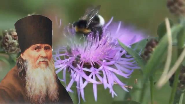 Указание пути ко спасению. Амвросий Оптинский смотреть онлайн