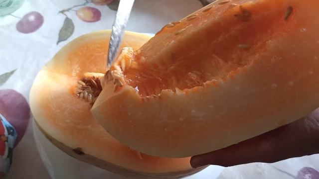 ЛУЧШАЯ ДЫНЯ ПОРТОАЛЬТО! БОЖЕСТВЕННЫЙ НЕКТАР! СУПЕР ВКУС! ВЫРОСЛА В ТЕПЛИЦЕ! 04.09.2021 #огорододача смотреть онлайн