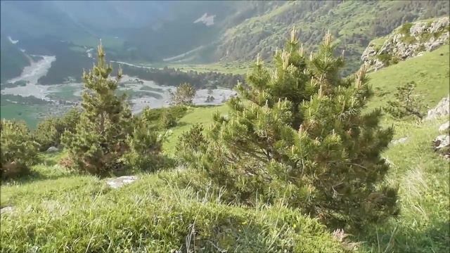 Царство дикой, нетронутой природы.Уштулу 2я часть смотреть онлайн