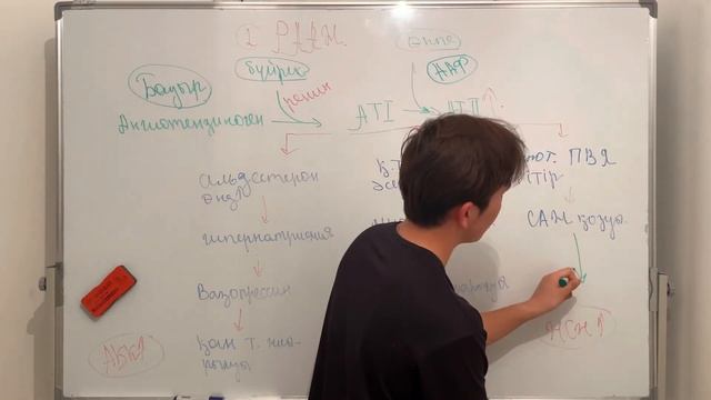 Эссенциялық артериялық гипертензия. Патофизиология смотреть онлайн