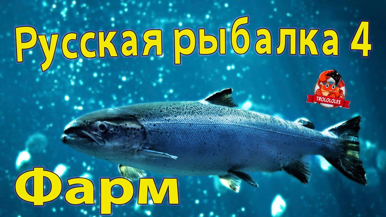 Русская рыбалка 4 ФАРМ на Архипелаге смотреть онлайн