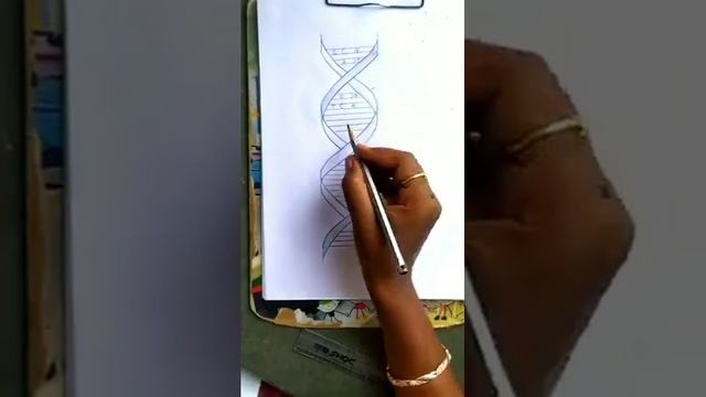 How to draw Structure of DNA double helix structure # Easy to draw DNA strand смотреть онлайн