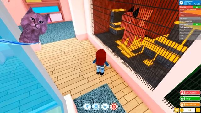 ШКОЛА В РОБЛОКС - С ГОВОРЯЩИМ КОТЕНКОМ АБИ ► Robloxian Highschool ► ИГРА для ДЕТЕЙ ◄ смотреть онлайн