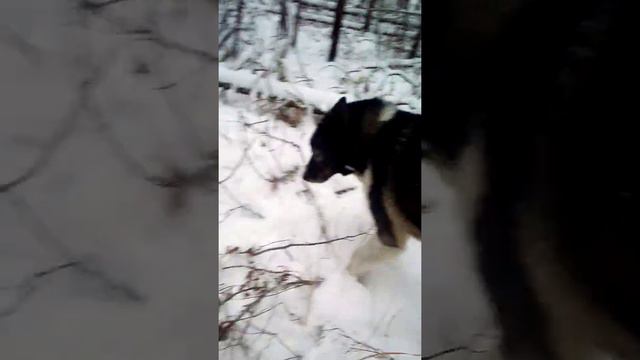27 ноября 2020 г. смотреть онлайн