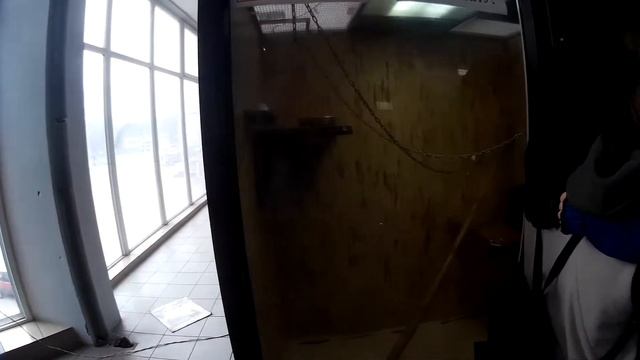 Выставка Обезьян В мире Дикой Природы Джунгли зовут В мире Животных смотреть онлайн