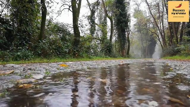 Рассказ мужчины | Измена жены. Завела Любовника смотреть онлайн