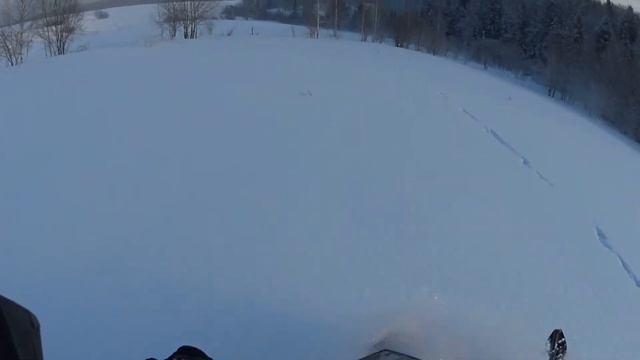 Заяц в кадре смотреть онлайн