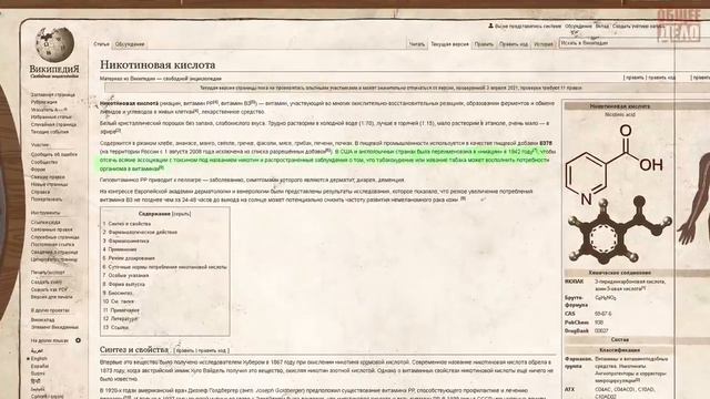 в ЭТО верят КУРИЛЬЩИКИ!