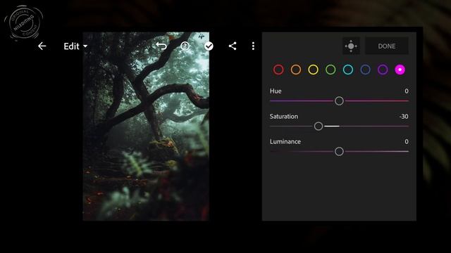 How to Edit Professional Smoky Forest Photography | Lightroom Dark Presets DNG & XMP Free Download смотреть онлайн