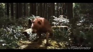 Оборотни .  Сумерки ,,молодая кров"ь