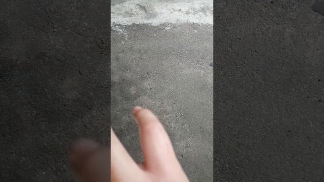 Сломал палец😭 смотреть онлайн