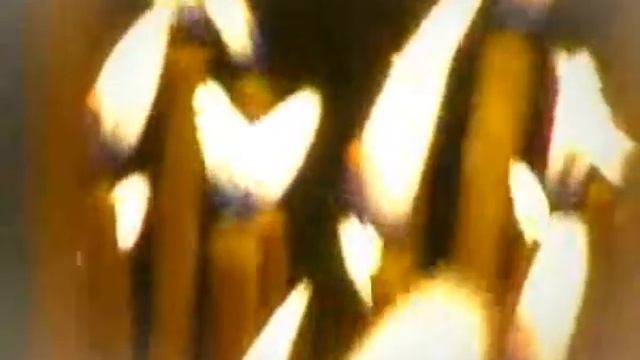 Закон Божий - 103 Праздник Рождества Христова смотреть онлайн