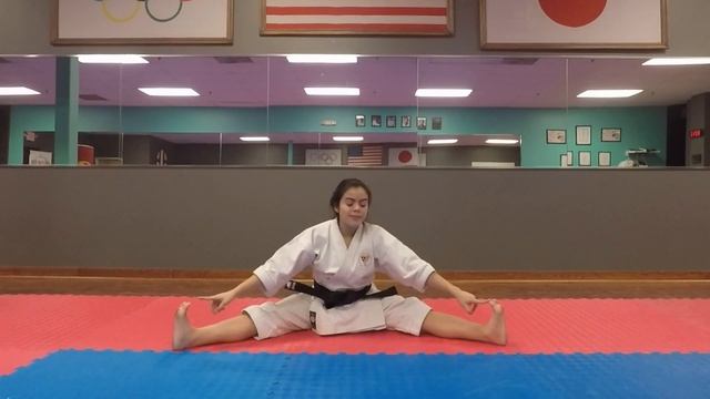 Karate At Home : Karate For Beginners  -  Free Karate Lessons Online : Karate Kids