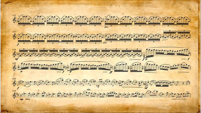 J. S. Bach: Chaconne BWV 1004 (P. Táborský - flute) смотреть онлайн
