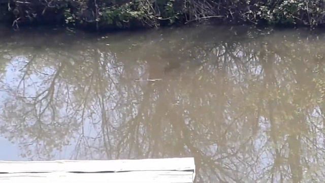 рыбхоз Черноморец 14.05.2018г. vip смотреть онлайн