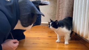 канал анука давайка♥️