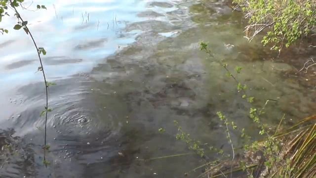 Camping Laacher See, Vulkaneifel Rheinland-Pfalz/Deutschland смотреть онлайн