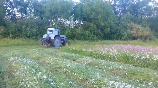 Т-40 АМ и роторная косилка (косарка) крс 2.0 , Ч2 смотреть онлайн