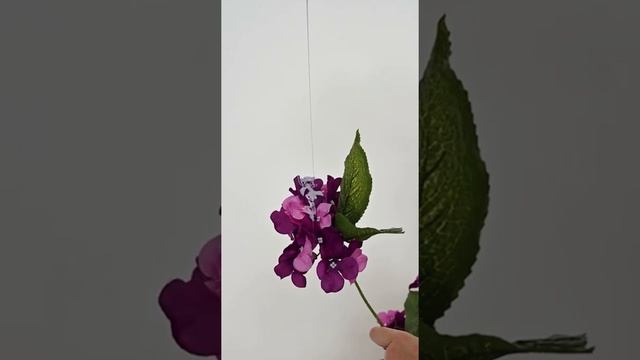 Epil pro studio воск смотреть онлайн