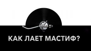 Как лает мастиф? ? Звук лающего мастифа и какие звуки издает мастиф