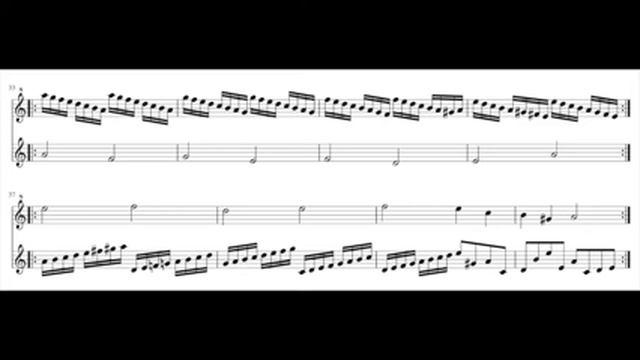 G. F. Haendel, Passacaille (HWV 432) for soprano and tenor recorder смотреть онлайн