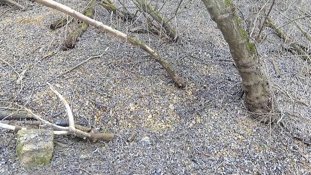 откуда не возьмись смотреть онлайн