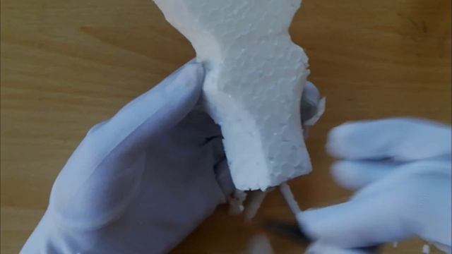 Making Female Reproductive System Model смотреть онлайн