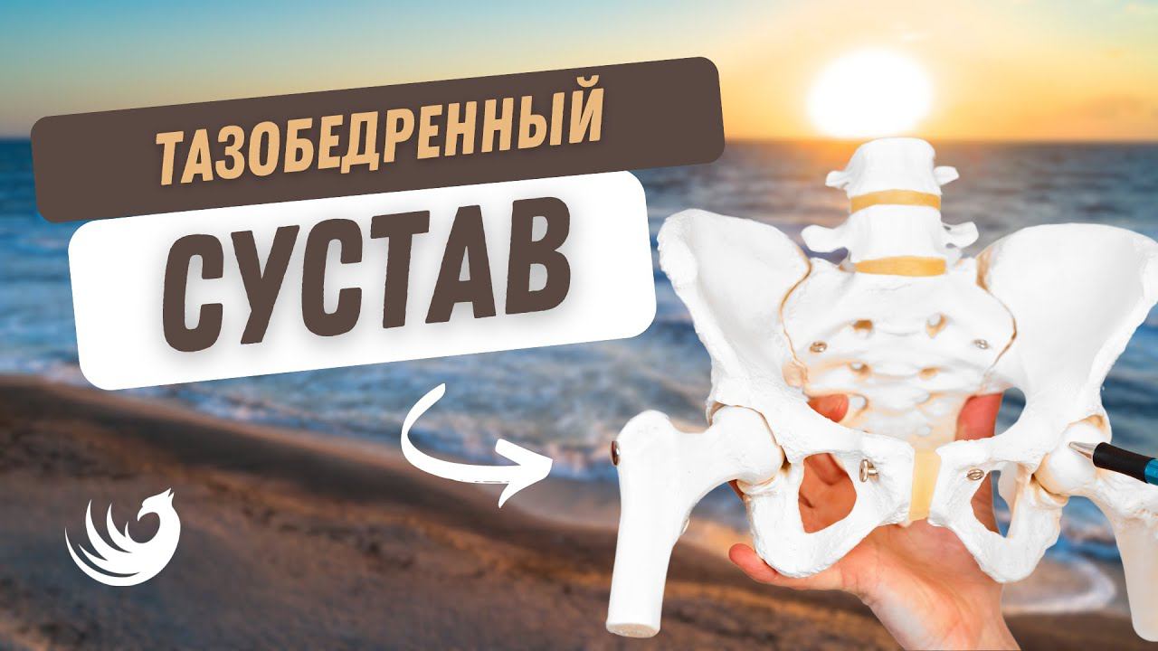 Тазобедренный сустав! смотреть онлайн