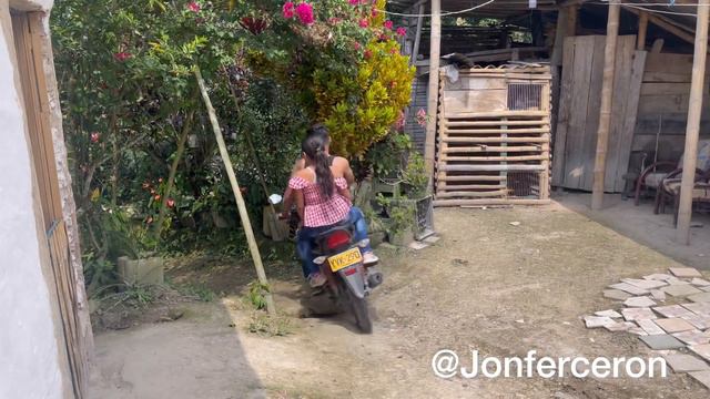Cuando una mujer se cansa😂 смотреть онлайн