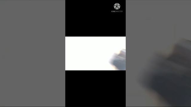 ДЕНЬ РОЖДЕНИЯ КРОЛИКА МИЛКА! Поздравляем! Игры с Милкой и квест! смотреть онлайн