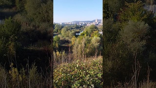 Уникальное болото в центре Кырджали