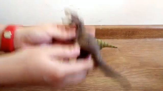 ОБЗОР на ФИГУРКИ от Collecta ТИРАННОЗАВР РЕКС и ДРАКОРЕКС!