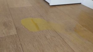 Домик ТЮРЬМА для кошки своими руками