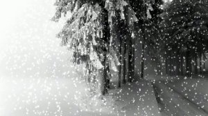 Футаж. Зимний пейзаж 62