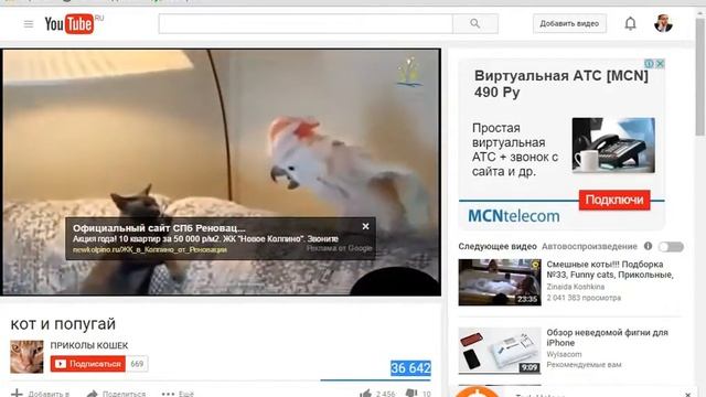 Выполнение задания на Сеоспринт с TaskHelper смотреть онлайн