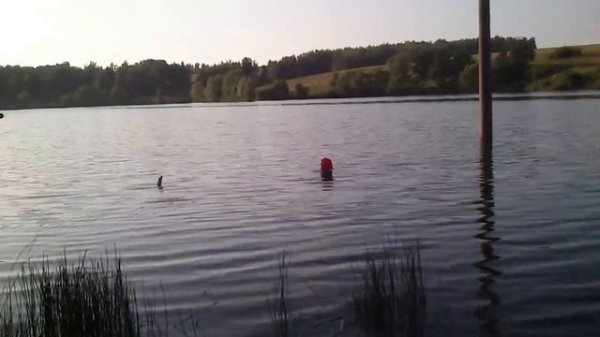 Радиоуправляемые модели. корабли и лодки.