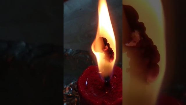 18 апреля 2021 г. исцеление животного. автор формулы Сэм смотреть онлайн