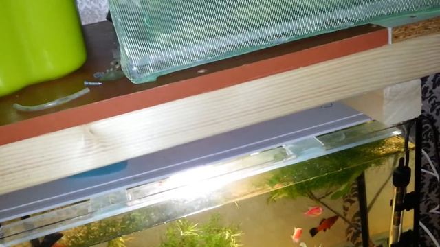 подготовка воды для нереста неона смотреть онлайн