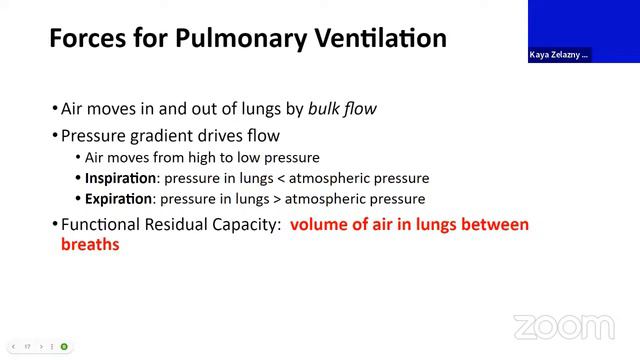 A&P Lecture - Respiration смотреть онлайн