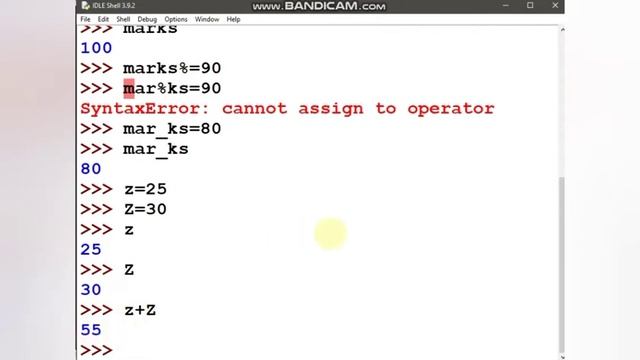 Python Tutorial: PYTHON FUNDAMENTALS-1 смотреть онлайн