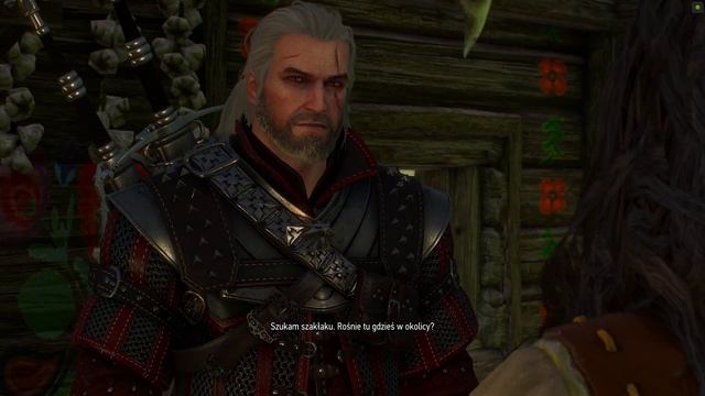 The Witcher 3 Tomira w poszukiwaniu szakłaku смотреть онлайн