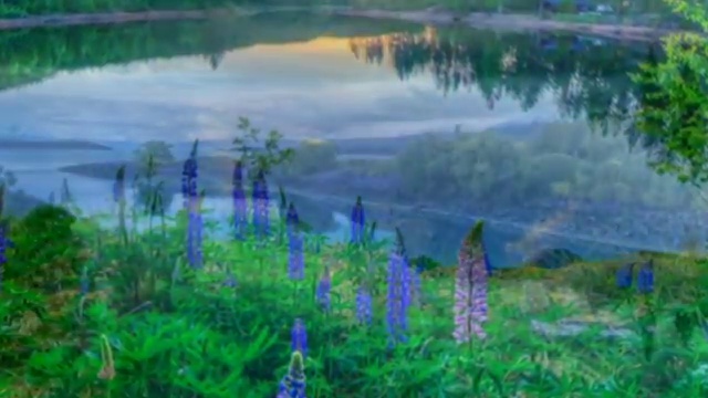 Золотой миллиард Геноцид народов начался смотреть онлайн