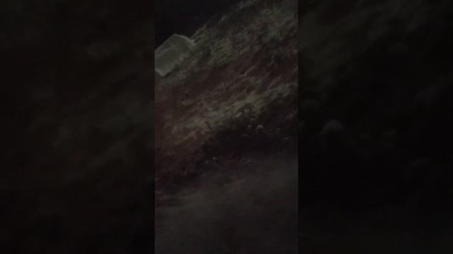 27.10.2023🌛❄ДОБРОЕ СНЕЖНОЕ УТРО❄☃️ смотреть онлайн