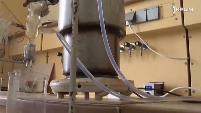 Сбор Лаванды в самом разгаре. НИИСХ Крыма смотреть онлайн