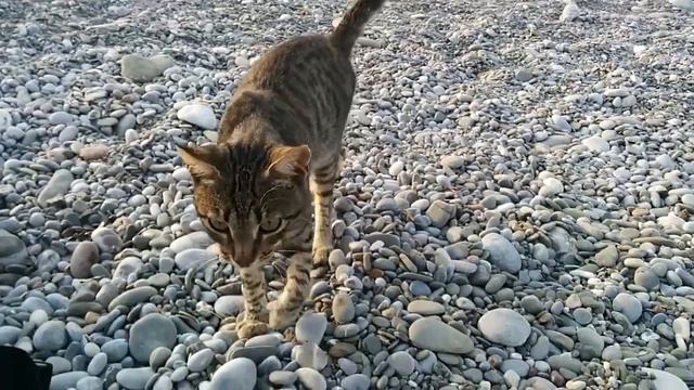 Карпатос. 04. Пляж Вананда / Vananda beach / Karpathos смотреть онлайн