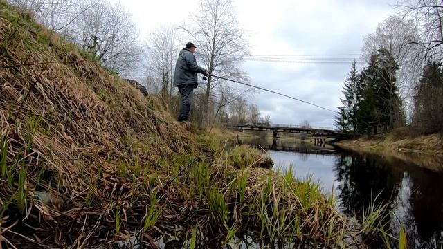 Река Оредеж. Майский дубак/Отчёт с рыбалки 05.05.2021. смотреть онлайн