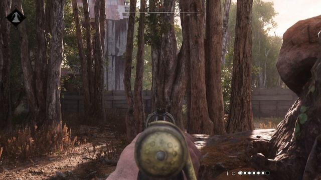 Hunt Showdown: The smart use of a beetle. смотреть онлайн