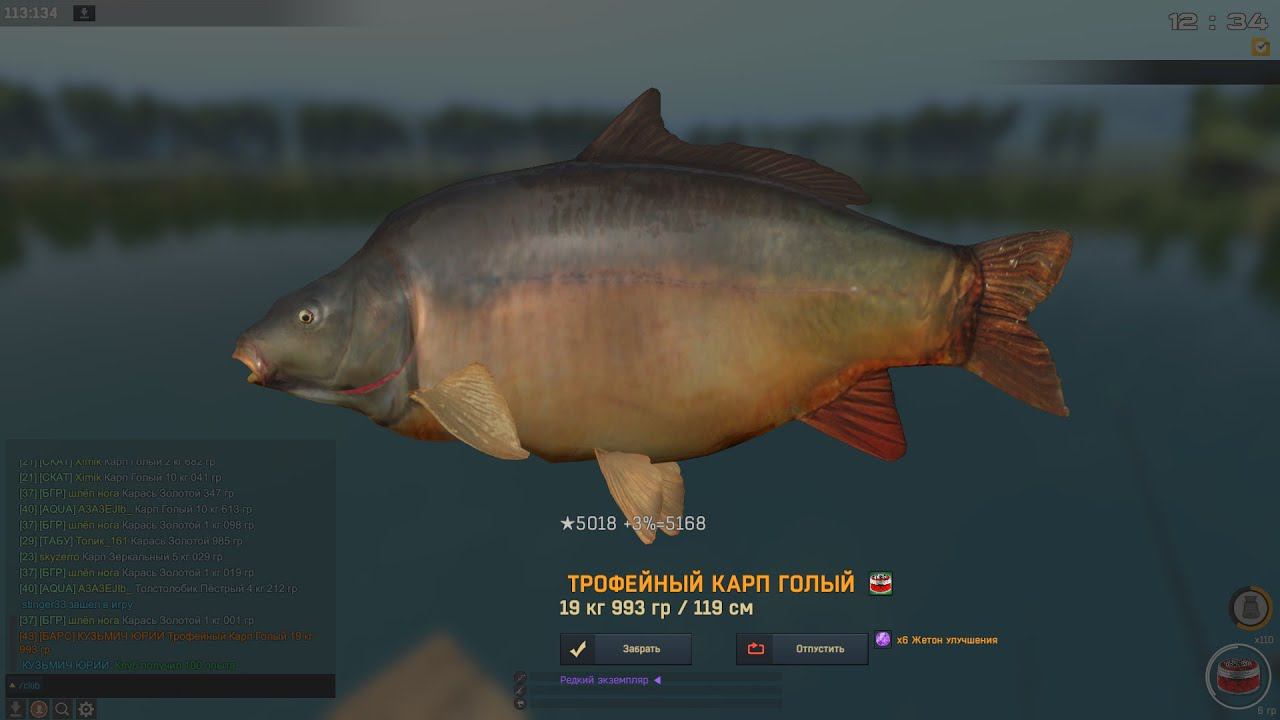 Fisher Online ФРАНЦИЯ КАРП ГОЛЫЙ смотреть онлайн