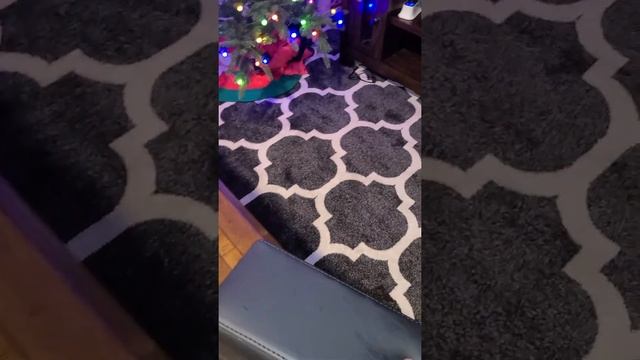 Commander Seat first prototype with storage. смотреть онлайн